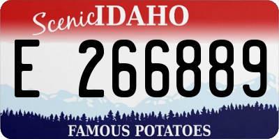 ID license plate E266889