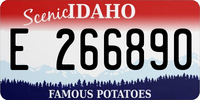 ID license plate E266890