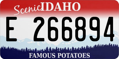ID license plate E266894
