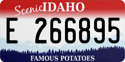 ID license plate E266895