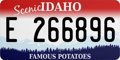 ID license plate E266896