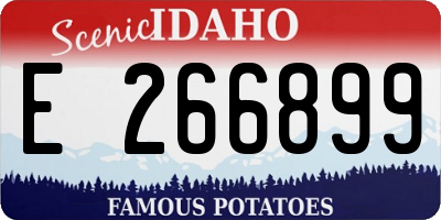 ID license plate E266899
