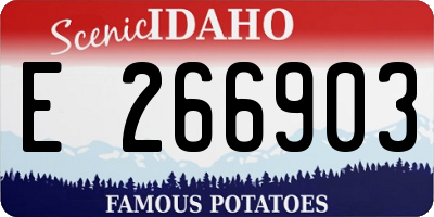 ID license plate E266903