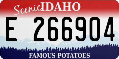 ID license plate E266904