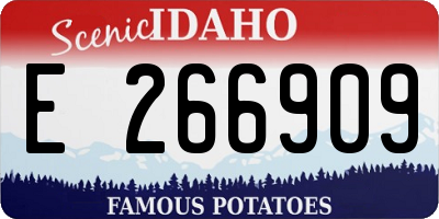 ID license plate E266909