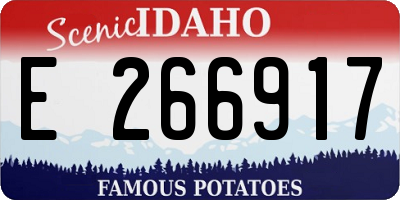 ID license plate E266917