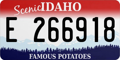 ID license plate E266918