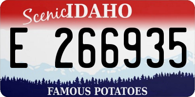 ID license plate E266935
