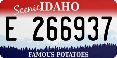ID license plate E266937