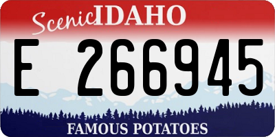 ID license plate E266945