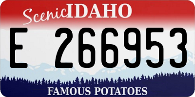 ID license plate E266953