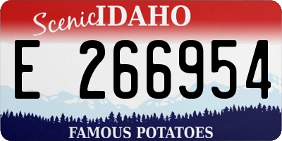 ID license plate E266954