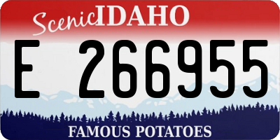ID license plate E266955