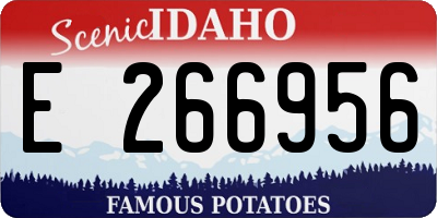 ID license plate E266956