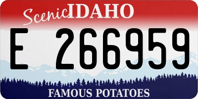 ID license plate E266959