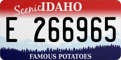 ID license plate E266965