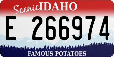 ID license plate E266974