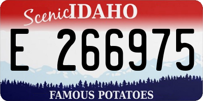 ID license plate E266975