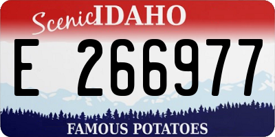 ID license plate E266977