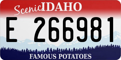 ID license plate E266981