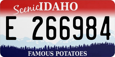 ID license plate E266984