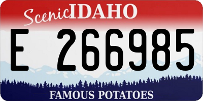 ID license plate E266985