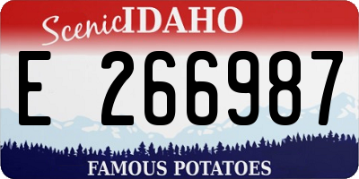 ID license plate E266987