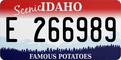 ID license plate E266989