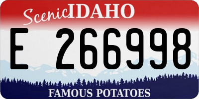 ID license plate E266998