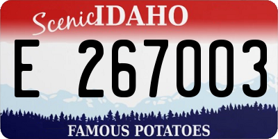 ID license plate E267003