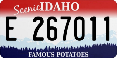 ID license plate E267011