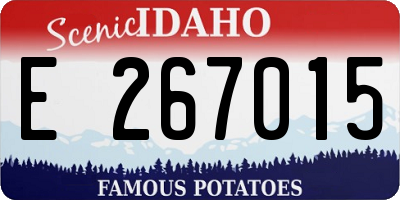ID license plate E267015