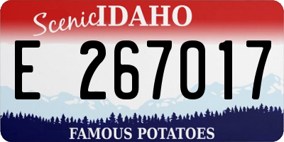 ID license plate E267017