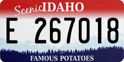 ID license plate E267018