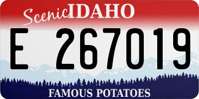 ID license plate E267019