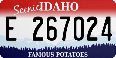 ID license plate E267024