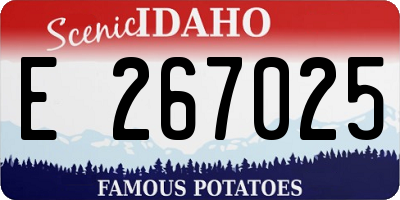 ID license plate E267025