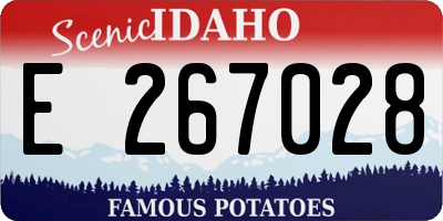 ID license plate E267028