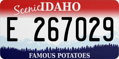 ID license plate E267029