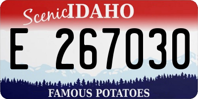 ID license plate E267030
