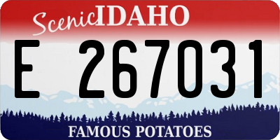 ID license plate E267031