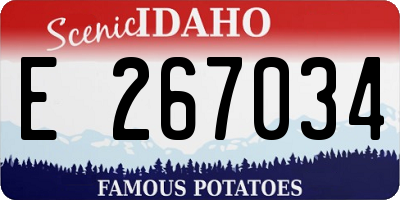 ID license plate E267034