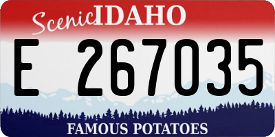 ID license plate E267035