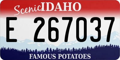 ID license plate E267037