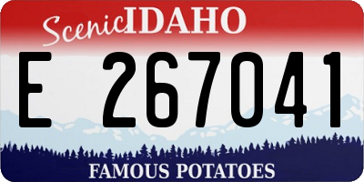 ID license plate E267041