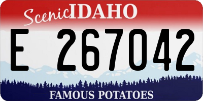 ID license plate E267042