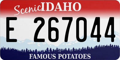 ID license plate E267044