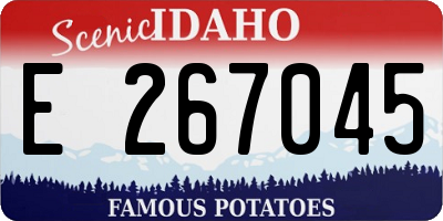 ID license plate E267045