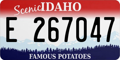 ID license plate E267047