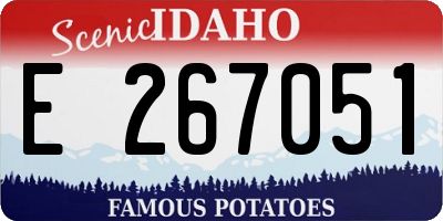 ID license plate E267051